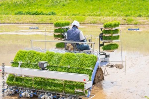 田植え機